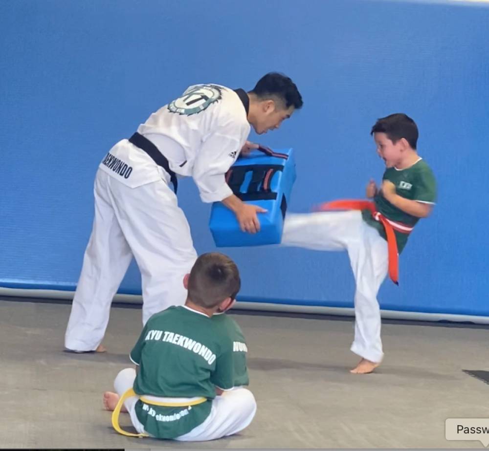 kyu taekwondo review 1