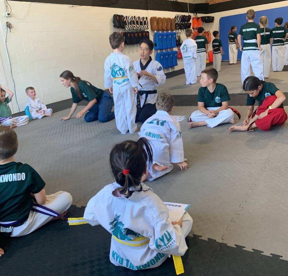 kyu taekwondo review 2